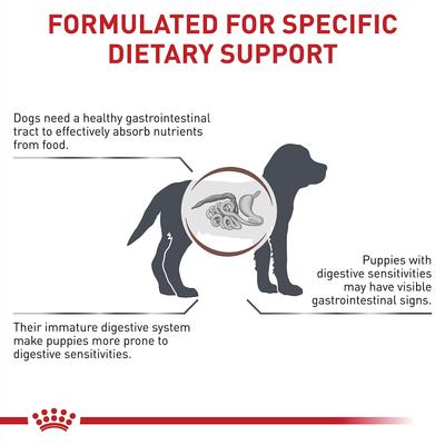 Royal Canin Veterinary Diet Puppy Gastrointestinal Dry Dog Food