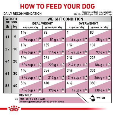 Show full view: Royal Canin Veterinary Diet Renal Support Early Consult Dry Dog Food, 17.6-lb bag slide 9 of 12