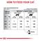 Show in main carousel: Royal Canin Veterinary Diet Selected Protein Pea & Duck Formula Adult Wet Cat Food, 5.1-oz can, case of 24 slide 9 of 12