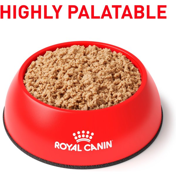 amazon royal canin sensitive digest cat food dry Royal Canin Veterinary Diet