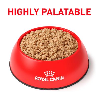 Show full view: Royal Canin Veterinary Diet Selected Protein Pea & Rabbit Formula Loaf in Sauce Adult Wet Cat Food, 5.1-oz can, case of 24 slide 4 of 12