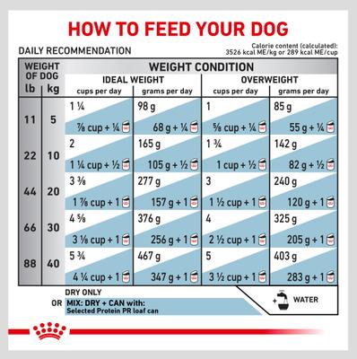 Show full view: Royal Canin Veterinary Diet Selected Protein Potato & Rabbit Formula Adult Dry Dog Food, 17.6-lb bag slide 9 of 12
