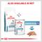 Show in main carousel: Royal Canin Veterinary Diet Selected Protein Potato & Rabbit Formula Adult Dry Dog Food, 25-lb bag slide 6 of 11