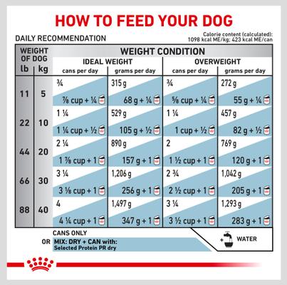 Show full view: Royal Canin Veterinary Diet Adult Selected Protein Potato & Rabbit Formula Wet Dog Food, 13.5-oz can, case of 24 slide 5 of 12