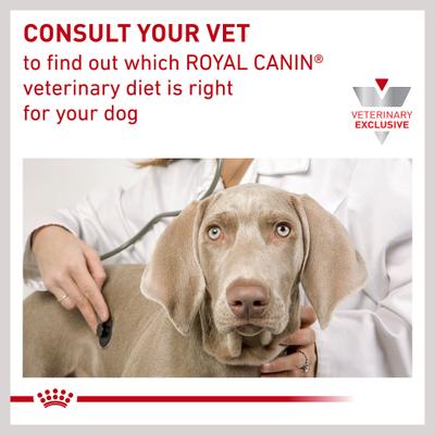 Show full view: Royal Canin Veterinary Diet Skintopic Adult Loaf in Sauce Wet Dog Food, 13.5-oz can, case of 24 slide 8 of 10