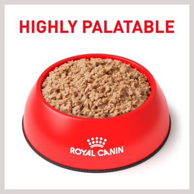 Show full view: Royal Canin Veterinary Diet Urinary SO Loaf Pate Adult Wet Cat Food, 5.1-oz can, pack of 12 slide 4 of 13