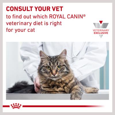 Show full view: Royal Canin Veterinary Diet Urinary SO Loaf Pate Adult Wet Cat Food, 5.1-oz can, pack of 12 slide 10 of 13