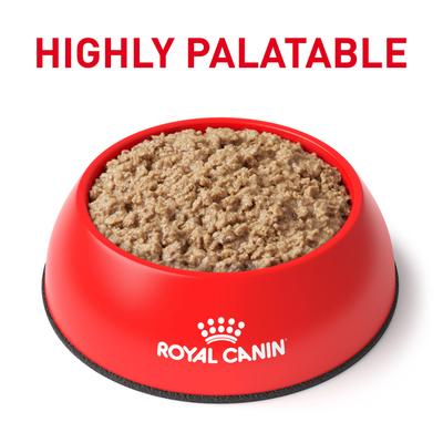 Show full view: Royal Canin Veterinary Diet Urinary SO Loaf Pate Adult Wet Cat Food, 5.1-oz can, pack of 6 slide 4 of 13