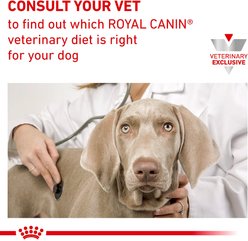 Royal Canin Veterinary Diet Adult Urinary SO Loaf Pate Wet Dog Food, 13.5-oz can, case of 24 slide 2 of 9