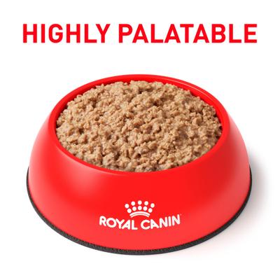 Show full view: Royal Canin Veterinary Diet Urinary SO Loaf Pate Adult Wet Cat Food, 5.1-oz can, case of 24 slide 4 of 13