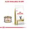 Show in main carousel: Royal Canin Veterinary Diet Urinary SO Loaf Pate Adult Wet Cat Food, 5.1-oz can, case of 24 slide 7 of 13