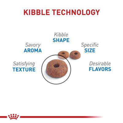 Show full view: Royal Canin Weight Care Dry Food+ Feline Weight Care Thin Slices in Gravy Canned Adult Canned Cat Food slide 4 of 10