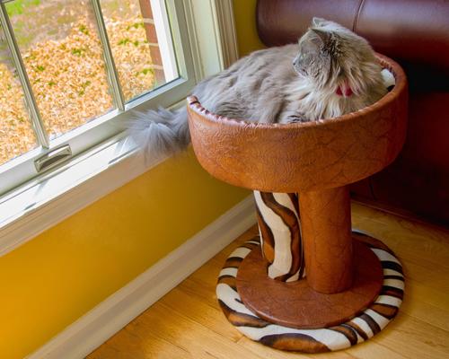 Show full view: Royal Cat Boutique Hybernest Deluxe Luxury Bolster Cat Bed, Honey Sahara slide 4 of 7