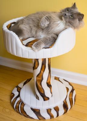 Show full view: Royal Cat Boutique Hybernest Deluxe Luxury Bolster Cat Bed, Ivory Sahara slide 2 of 3