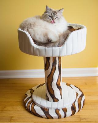 Show full view: Royal Cat Boutique Hybernest Deluxe Luxury Bolster Cat Bed, Ivory Sahara slide 3 of 3