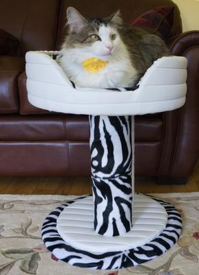 Show full view: Royal Cat Boutique Hybernest Deluxe Luxury Bolster Cat Bed, Ivory Zebra slide 3 of 4