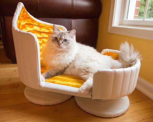 Show full view: Royal Cat Boutique Royal Davenport Luxury Bolster Dog & Cat Bed, Ivory Gold slide 6 of 9