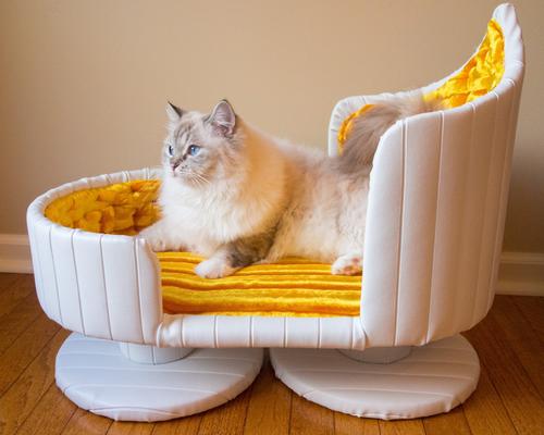 Show full view: Royal Cat Boutique Royal Davenport Luxury Bolster Dog & Cat Bed, Ivory Gold slide 7 of 9