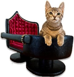 Royal Cat Boutique Royal Davenport Luxury Bolster Dog & Cat Bed, Onyx Flame