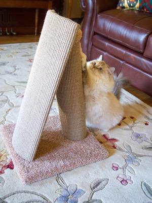 Show full view: Royal Cat Boutique V-Pad 24-in Sisal Cat Scratching Post slide 7 of 9