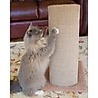 Show in main carousel: Royal Cat Boutique V-Pad 24-in Sisal Cat Scratching Post slide 8 of 9