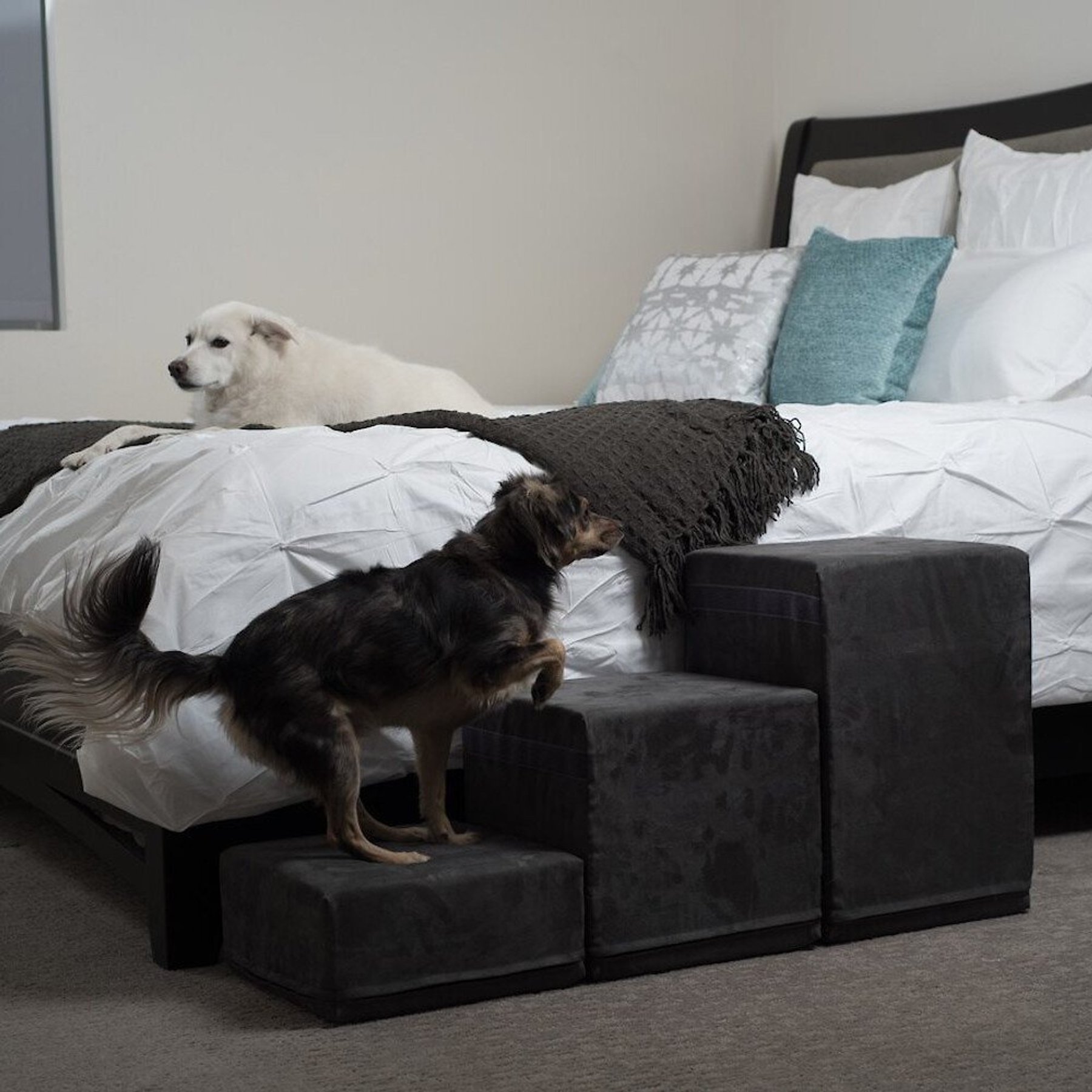 Royal Ramps 2-Step Dog & Cat Stairs, Charcoal, 14-in