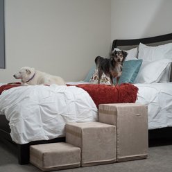 Royal Ramps 2-Step Dog & Cat Stairs, Oyster, 21-in