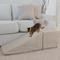 Show in main carousel: Royal Ramps Dog & Cat Ramp & Landing, Oyster, 14-in slide 7 of 12