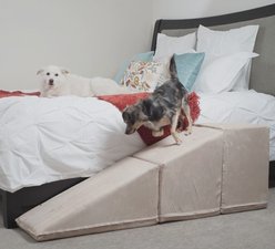 Royal Ramps Dog & Cat Ramp & Landing, Oyster, 21-in