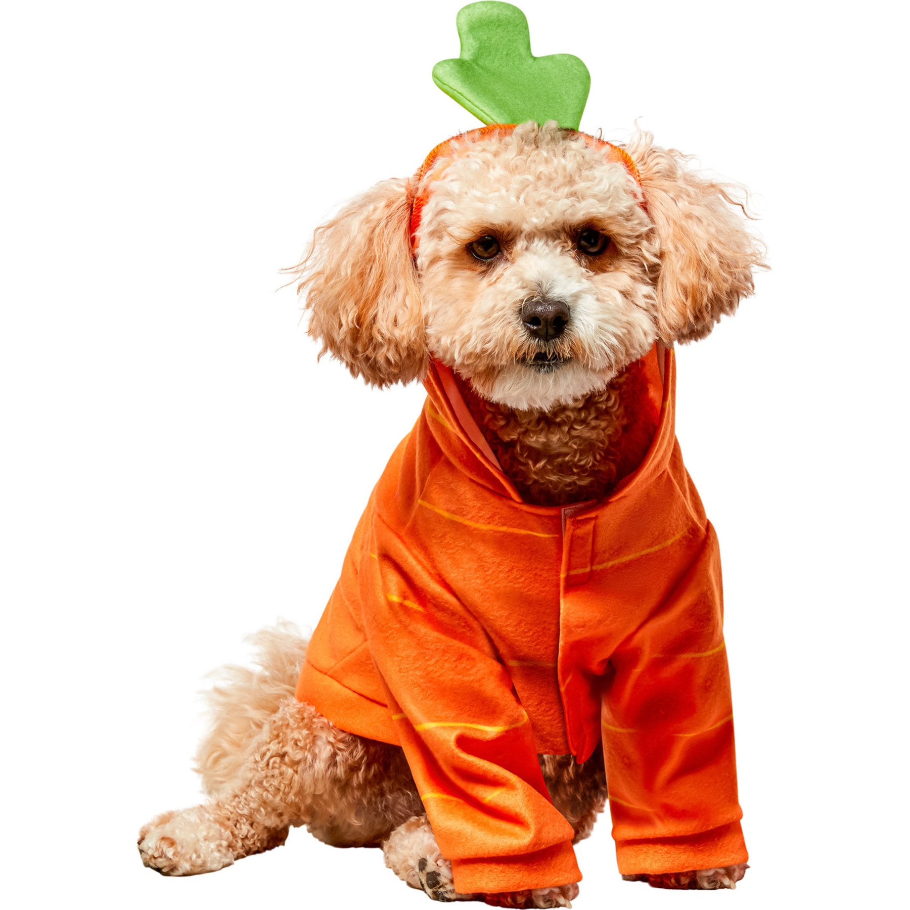 Rubie's Costume Company Carrot Dog Hoodie, Orange, Medium