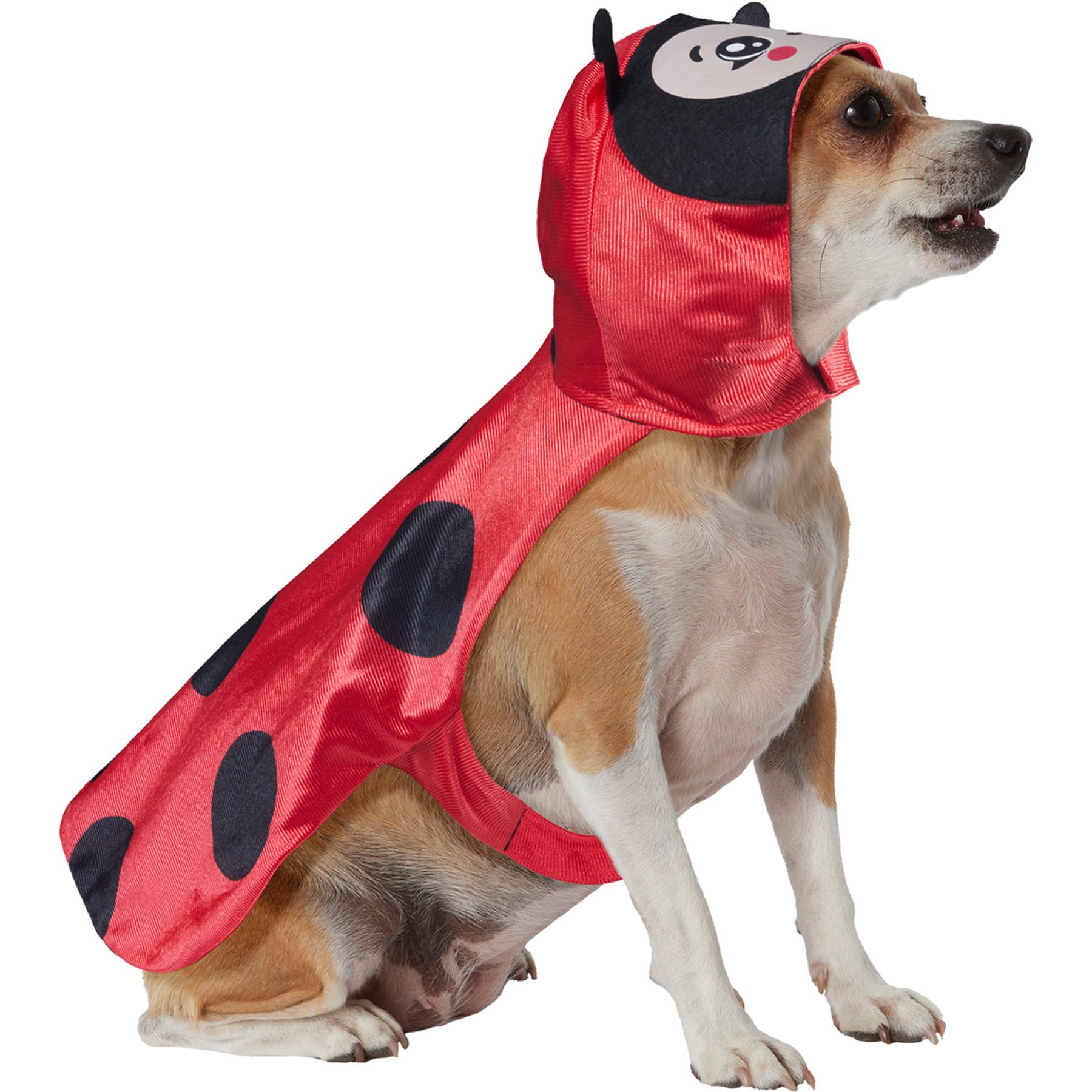 Rubie's Costume Company Ladybug Dog Costume, Red, Large