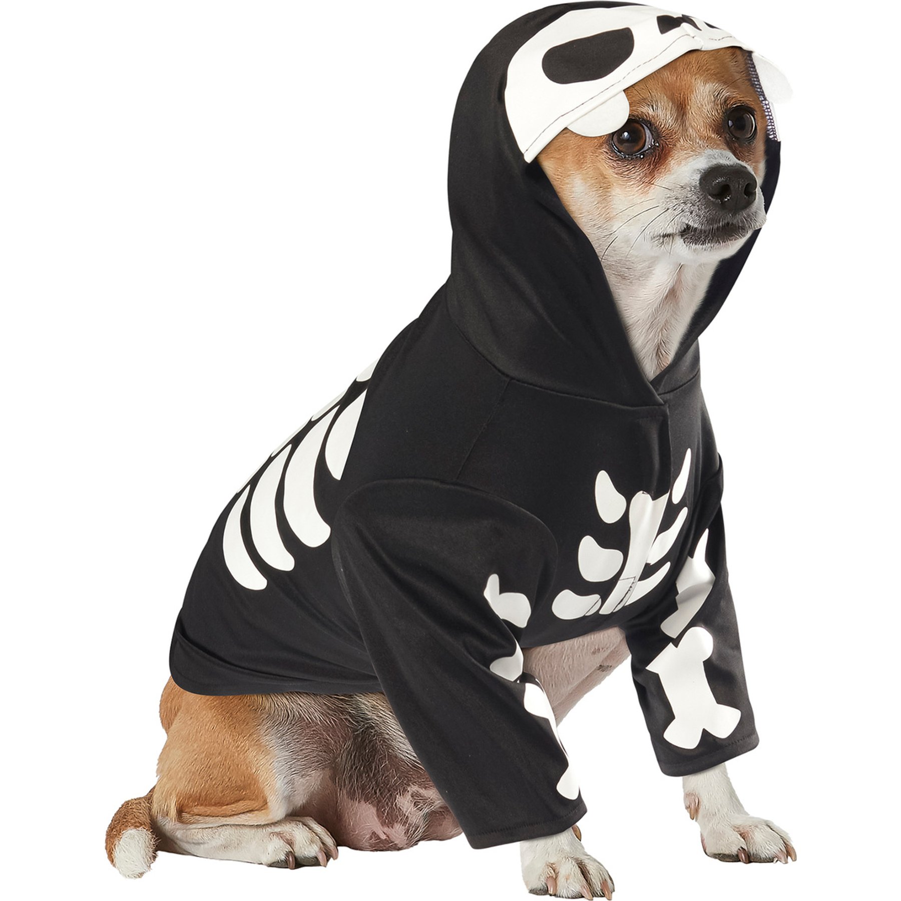 Rubie's Costume Company Skeleton Dog Costume, Black, Medium