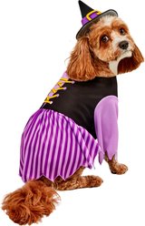 Rubie's Costume Company Witch Dog Costume, Purple, X-Large