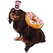 Show in main carousel: Rubie's Costume Company Donut & Coffee Dog Costume, Medium slide 1 of 6