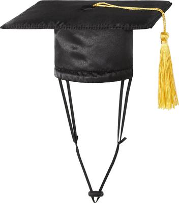 Show full view: Rubie's Costume Company Graduation Hat Dog & Cat Costume, Medium/Large slide 3 of 6