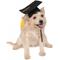 Show in main carousel: Rubie's Costume Company Graduation Hat Dog & Cat Costume, Small/Medium slide 1 of 6
