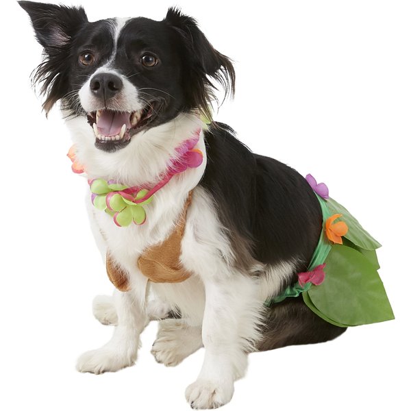 Rubie's Costume Company Pixie Dog Costume