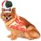 Show in main carousel: Rubie's Costume Company Pizza Chef Kit Dog Costume, Small/Medium slide 1 of 2