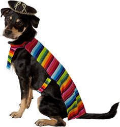 Rubie's Costume Company Serape Dog & Cat Costume, Large