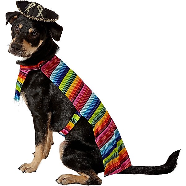Rubie's Costume Company Reversible Barkday Dog Bandana