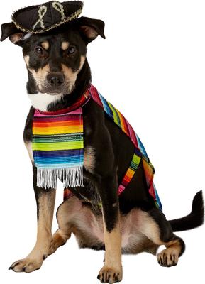 Show full view: Rubie's Costume Company Serape Dog & Cat Costume, Large slide 6 of 9