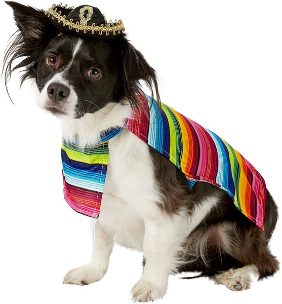 Show full view: Rubie's Costume Company Serape Dog & Cat Costume, Medium slide 1 of 9