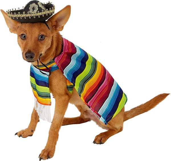 Rubie's Costume Company Serape Dog & Cat Costume