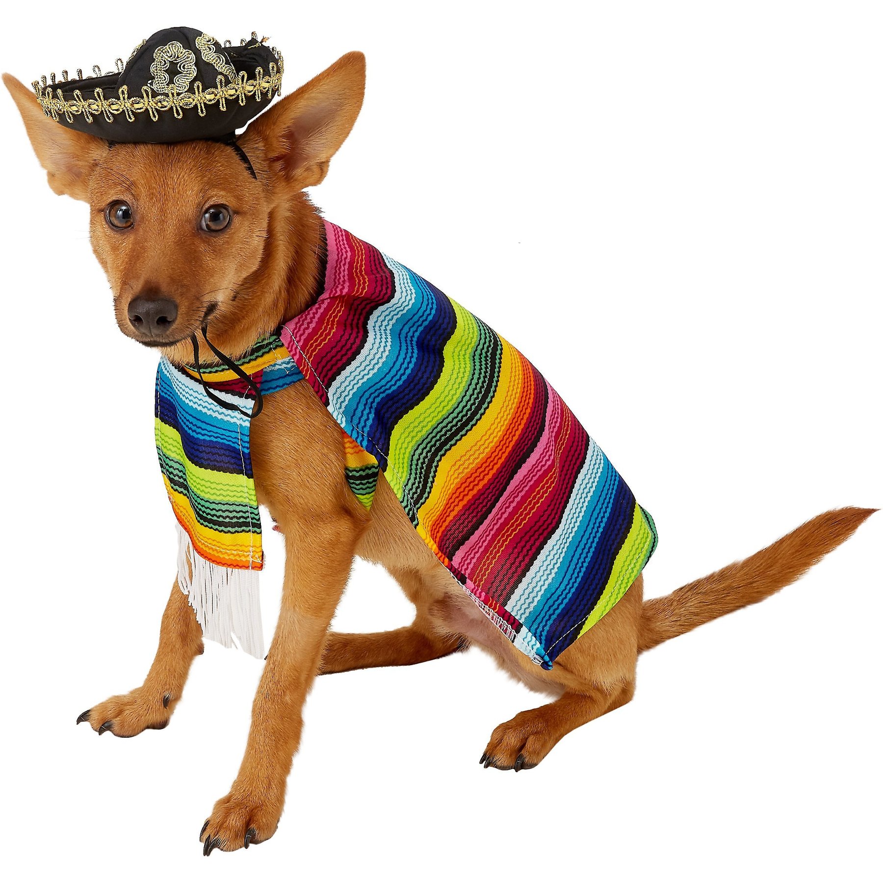 Rubie's Costume Company Serape Dog & Cat Costume, Small