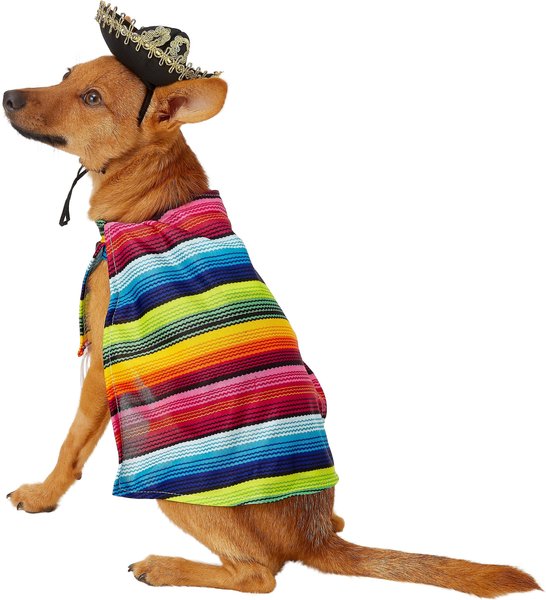 Rubie's Costume Company Serape Dog & Cat Costume