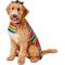 Show in main carousel: Rubie's Costume Company Serape Dog & Cat Costume, X-Large slide 1 of 9
