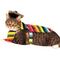Show in main carousel: Rubie's Costume Company Serape Dog & Cat Costume, X-Large slide 3 of 9