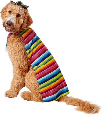 Show full view: Rubie's Costume Company Serape Dog & Cat Costume, X-Large slide 6 of 9