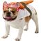 Show in main carousel: Rubie's Costume Company Sushi Dog & Cat Costume, Large slide 1 of 8