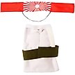 Show in main carousel: Rubie's Costume Company Sushi Dog & Cat Costume, Medium slide 4 of 7